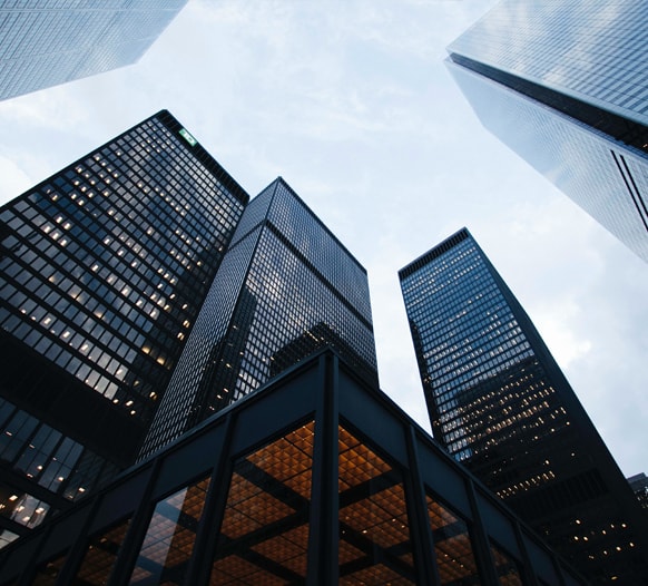 Saanvi Realtors experience